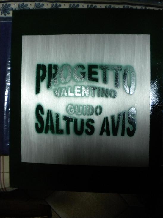 progetto saltus avis
